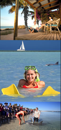 Monkey Mia Dolphin Resort - South Australia Travel