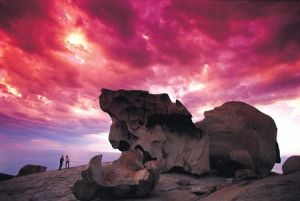 Kangaroo Island Adventure Tour 2 day/1 night - South Australia Travel