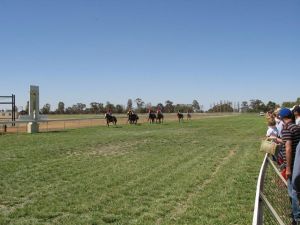 Balranald Races -Derby Day - South Australia Travel