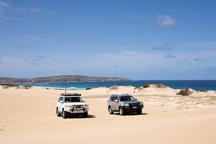 3 Day Port Lincoln and Coffin Bay Private Tour - South Australia Travel